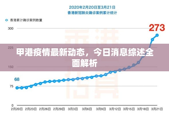 甲港疫情最新动态，今日消息综述全面解析