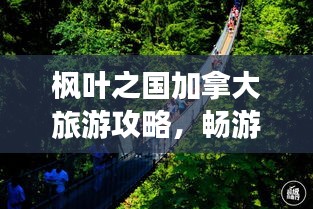 枫叶之国加拿大旅游攻略，畅游精彩之旅！