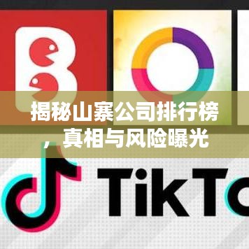 揭秘山寨公司排行榜，真相与风险曝光