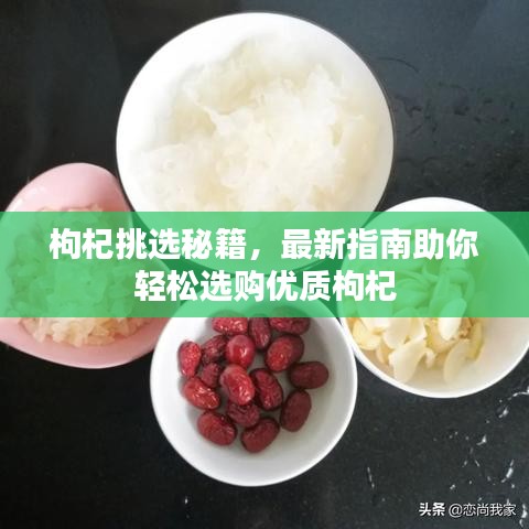 枸杞挑选秘籍，最新指南助你轻松选购优质枸杞