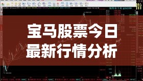 宝马股票今日最新行情分析