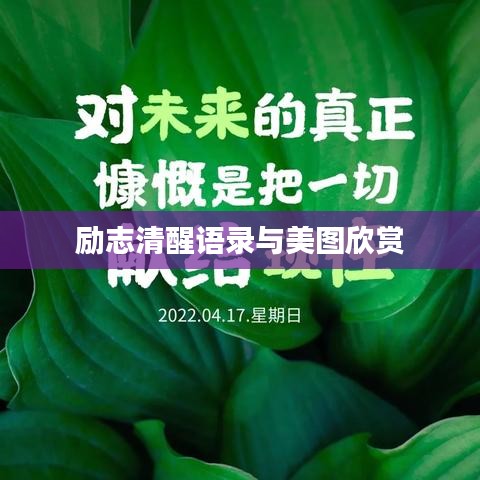 励志清醒语录与美图欣赏