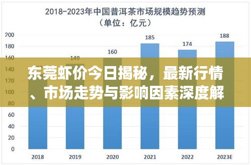 东莞虾价今日揭秘，最新行情、市场走势与影响因素深度解析
