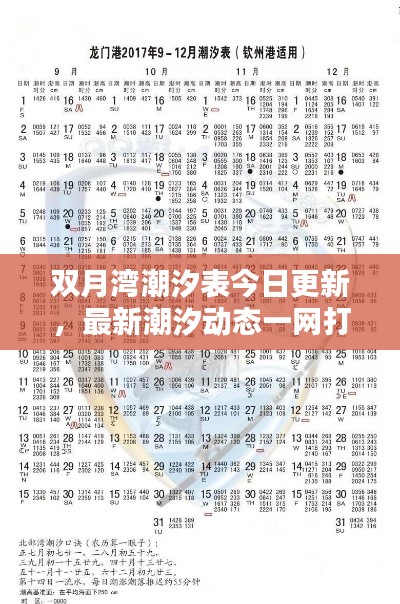 双月湾潮汐表今日更新，最新潮汐动态一网打尽！