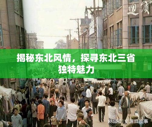 揭秘东北风情，探寻东北三省独特魅力