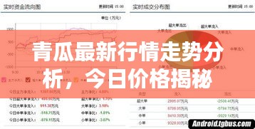 青瓜最新行情走势分析，今日价格揭秘