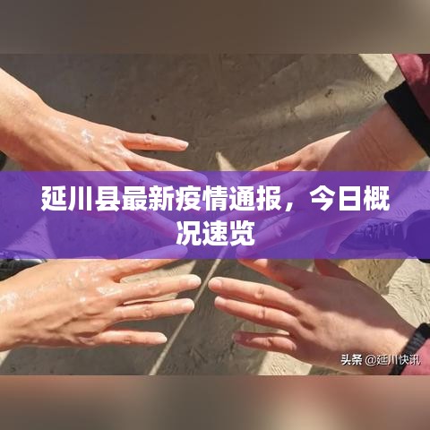 延川县最新疫情通报，今日概况速览