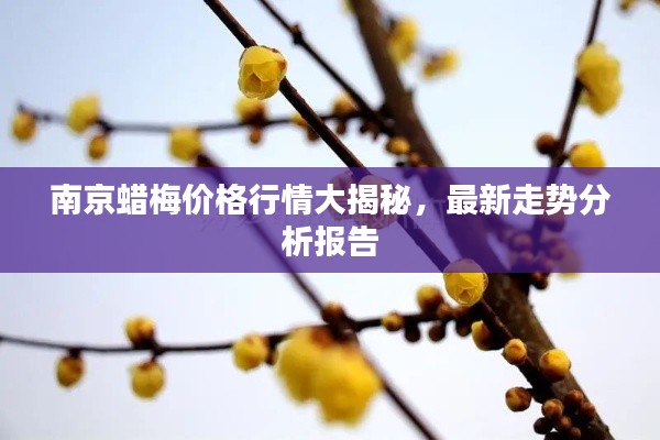 比翼鸟 第2页