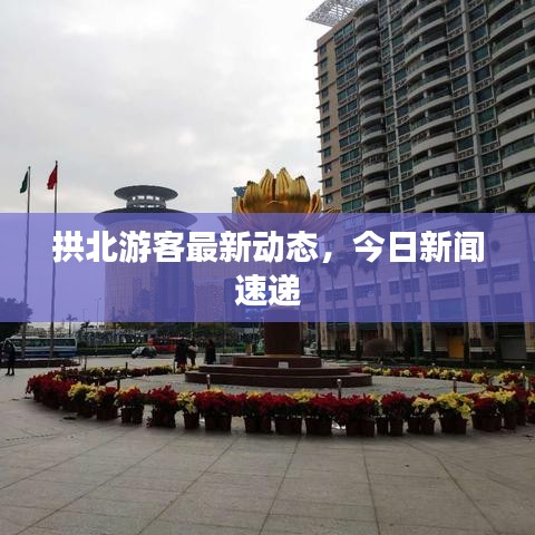 拱北游客最新动态，今日新闻速递