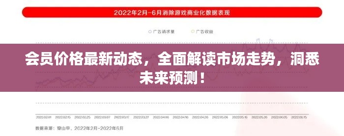 会员价格最新动态，全面解读市场走势，洞悉未来预测！