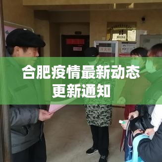 合肥疫情最新动态更新通知