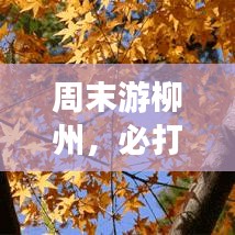 周末游柳州，必打卡景点全攻略