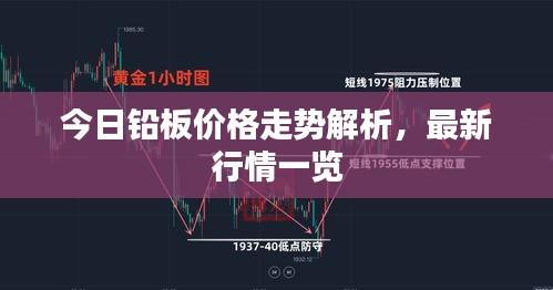 今日铅板价格走势解析，最新行情一览