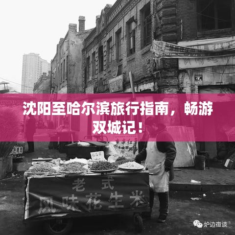 沈阳至哈尔滨旅行指南，畅游双城记！