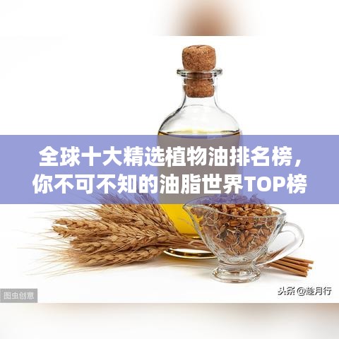 全球十大精选植物油排名榜，你不可不知的油脂世界TOP榜！