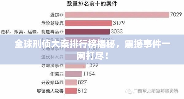 全球刑侦大案排行榜揭秘，震撼事件一网打尽！