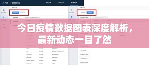 今日疫情数据图表深度解析，最新动态一目了然