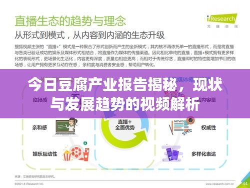 今日豆腐产业报告揭秘，现状与发展趋势的视频解析