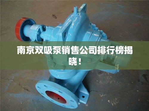 南京双吸泵销售公司排行榜揭晓！