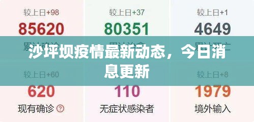沙坪坝疫情最新动态，今日消息更新