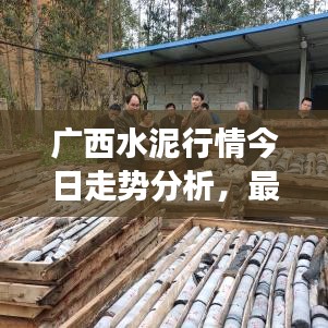 广西水泥行情今日走势分析，最新市场动态揭秘
