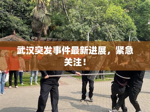 武汉突发事件最新进展，紧急关注！