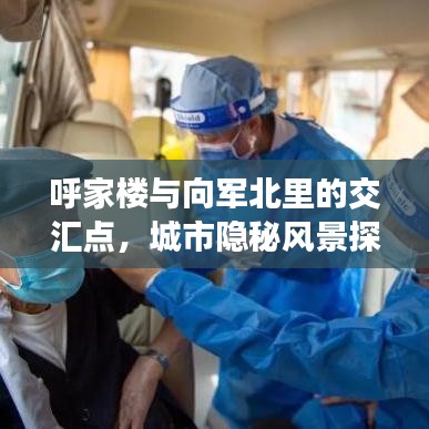 呼家楼与向军北里的交汇点，城市隐秘风景探寻