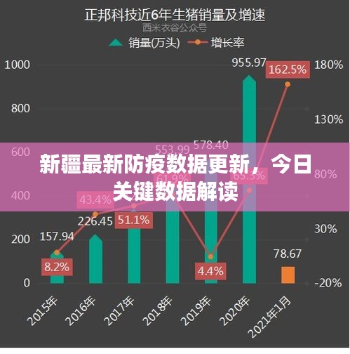 新疆最新防疫数据更新，今日关键数据解读