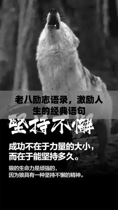 老八励志语录，激励人生的经典语句