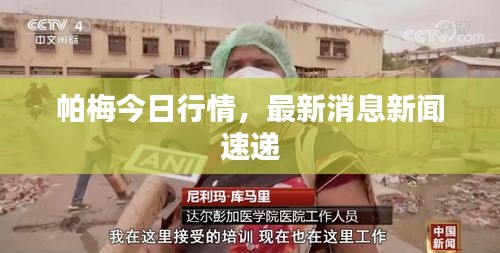 初告白 第2页
