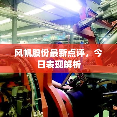风帆股份最新点评，今日表现解析
