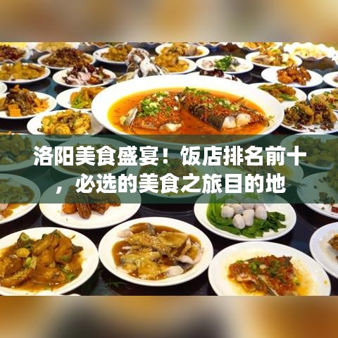 洛阳美食盛宴！饭店排名前十，必选的美食之旅目的地