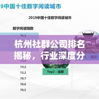 杭州社群公司排名揭秘，行业深度分析与洞察