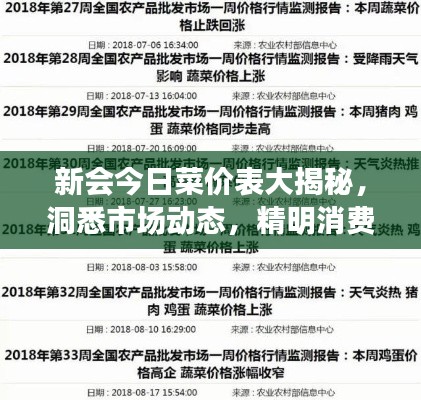 新会今日菜价表大揭秘，洞悉市场动态，精明消费者必备决策参考