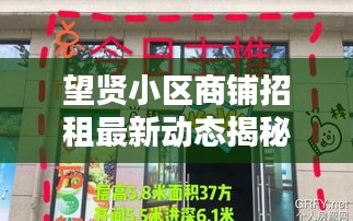 望贤小区商铺招租最新动态揭秘，优质商铺等你来租！