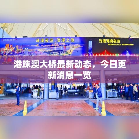 港珠澳大桥最新动态，今日更新消息一览