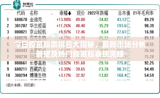 今日疫苗股票排名大揭秘，最新市场分析展望及热门疫苗股表现亮眼