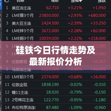 打张鸡儿 第2页