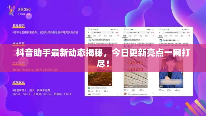 抖音助手最新动态揭秘，今日更新亮点一网打尽！