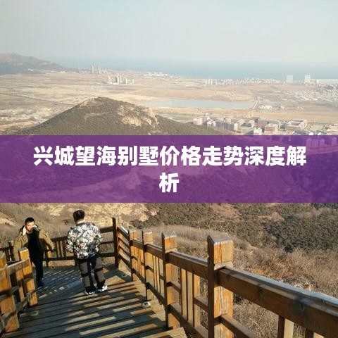 兴城望海别墅价格走势深度解析