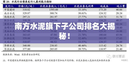 南方水泥旗下子公司排名大揭秘！