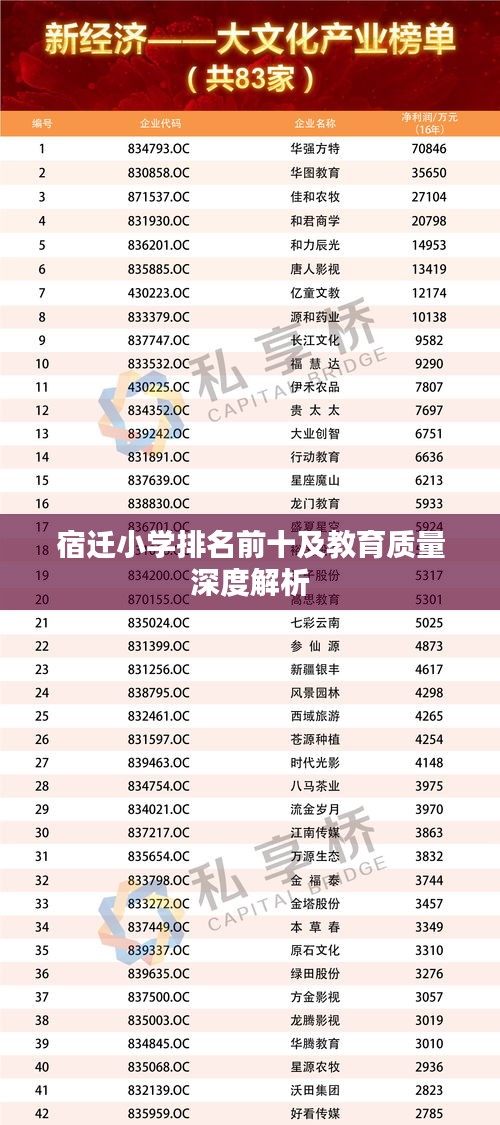 宿迁小学排名前十及教育质量深度解析