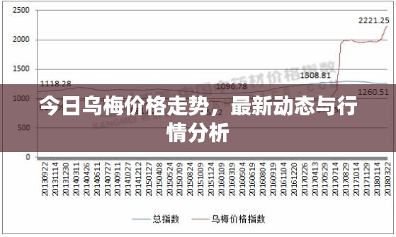 今日乌梅价格走势，最新动态与行情分析