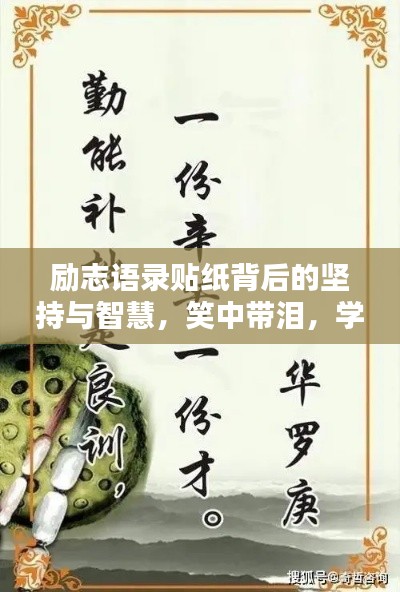 励志语录贴纸背后的坚持与智慧，笑中带泪，学无止境