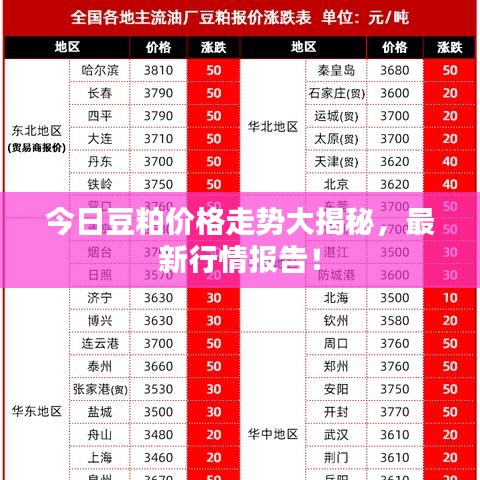今日豆粕价格走势大揭秘，最新行情报告！