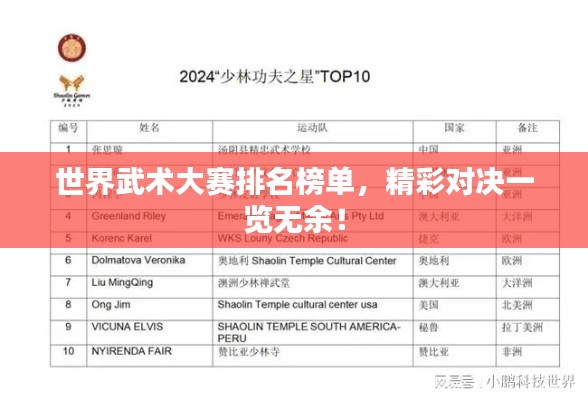 世界武术大赛排名榜单，精彩对决一览无余！