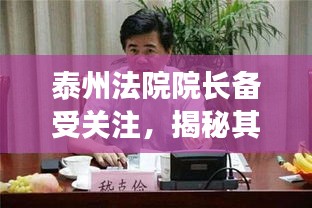 泰州法院院长备受关注，揭秘其职责与成就！
