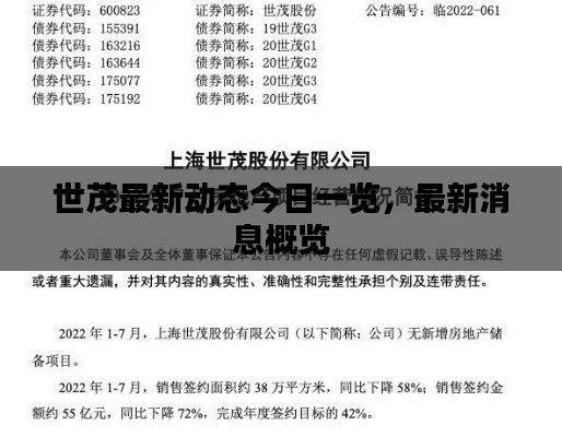 世茂最新动态今日一览，最新消息概览