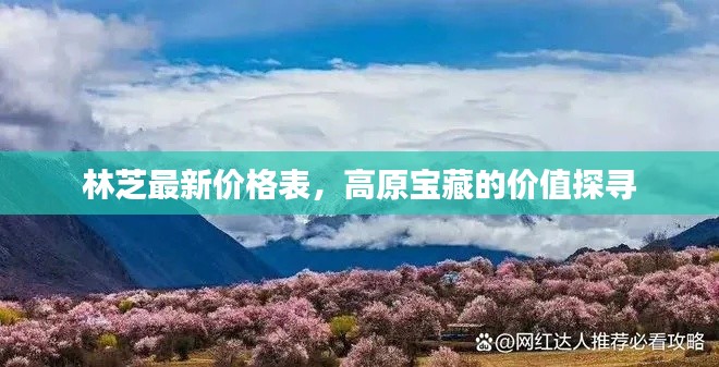 林芝最新价格表，高原宝藏的价值探寻