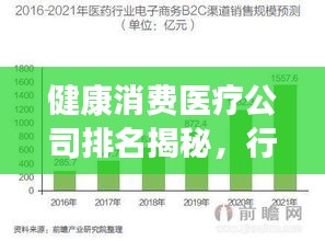 健康消费医疗公司排名揭秘，行业趋势深度剖析